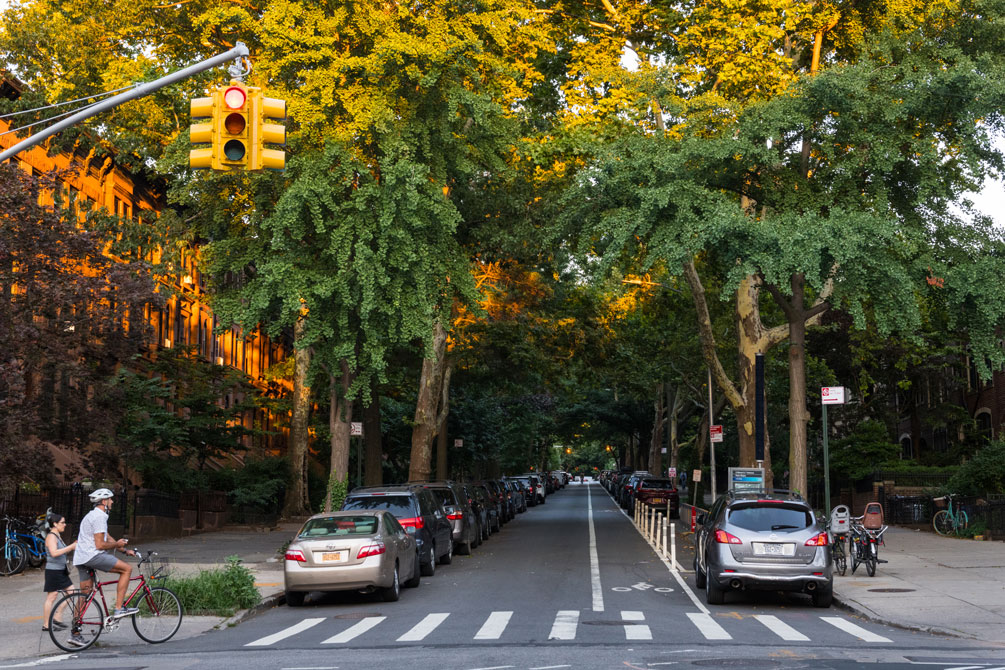 A shaded street in Park Slope, Brooklyn, New York City, lined with many tall trees.