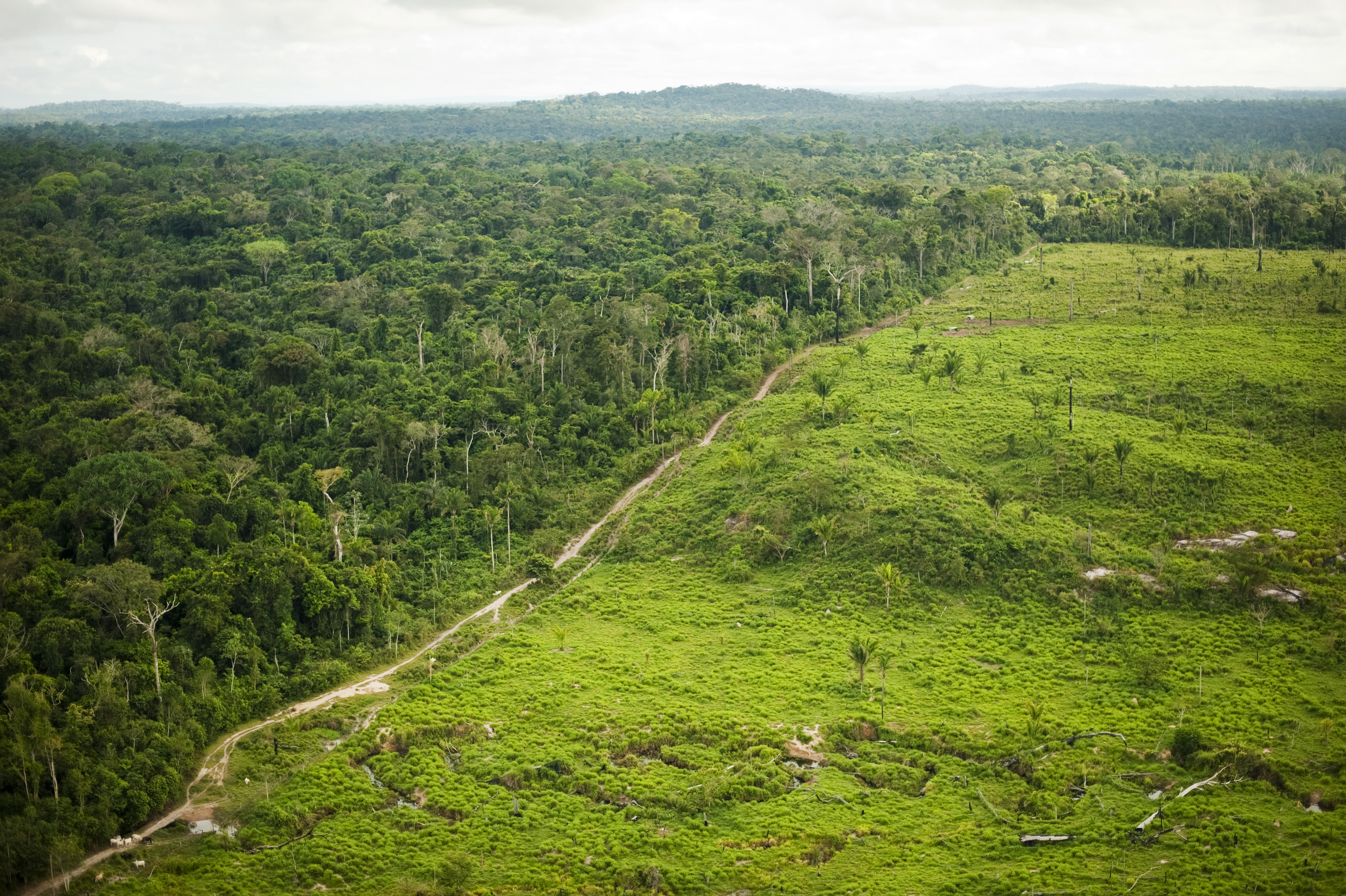 Image aérea de fronteira entre área protegida e área de produção.