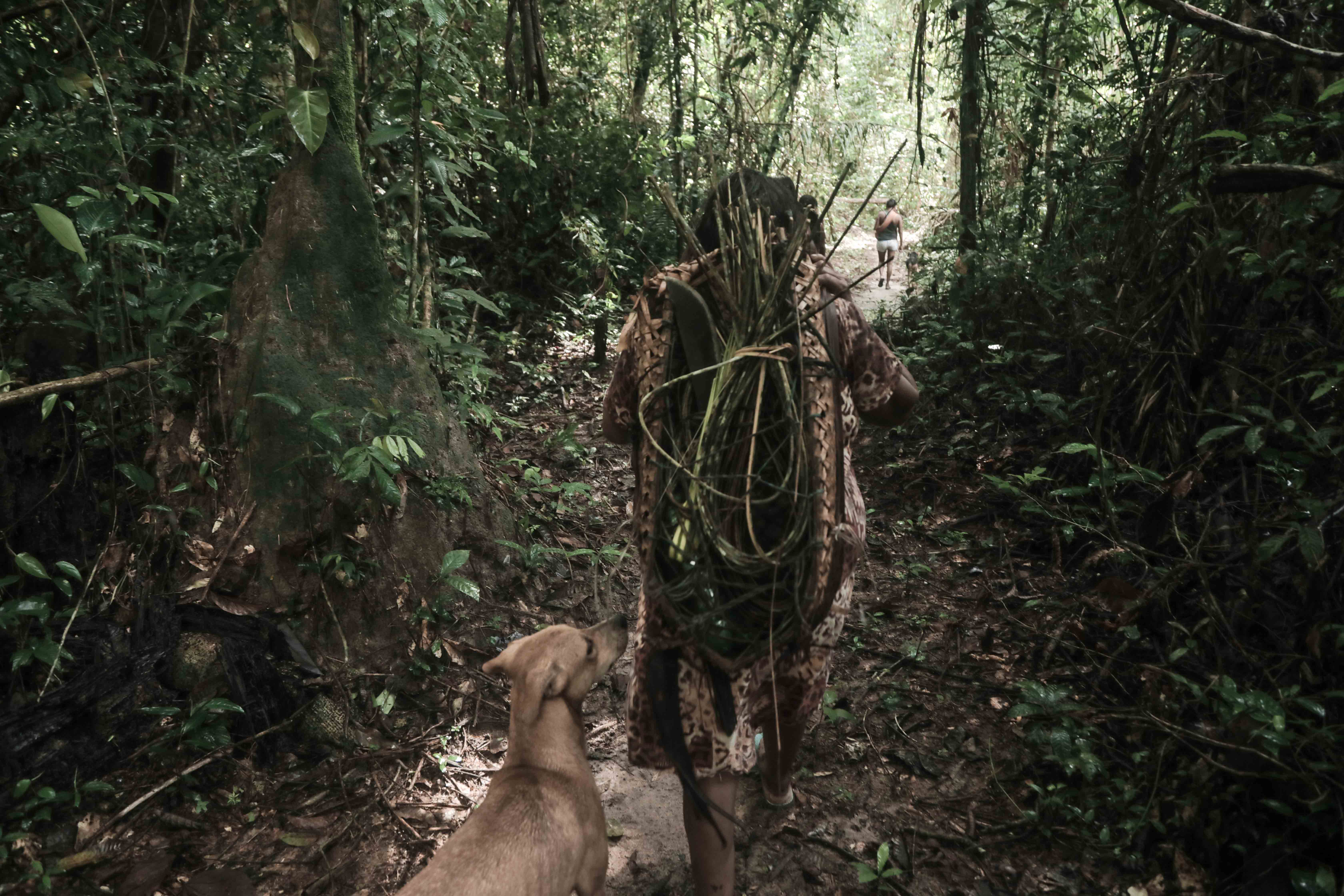 Indígena caminhando na floresta com ferramentas tradicionais.