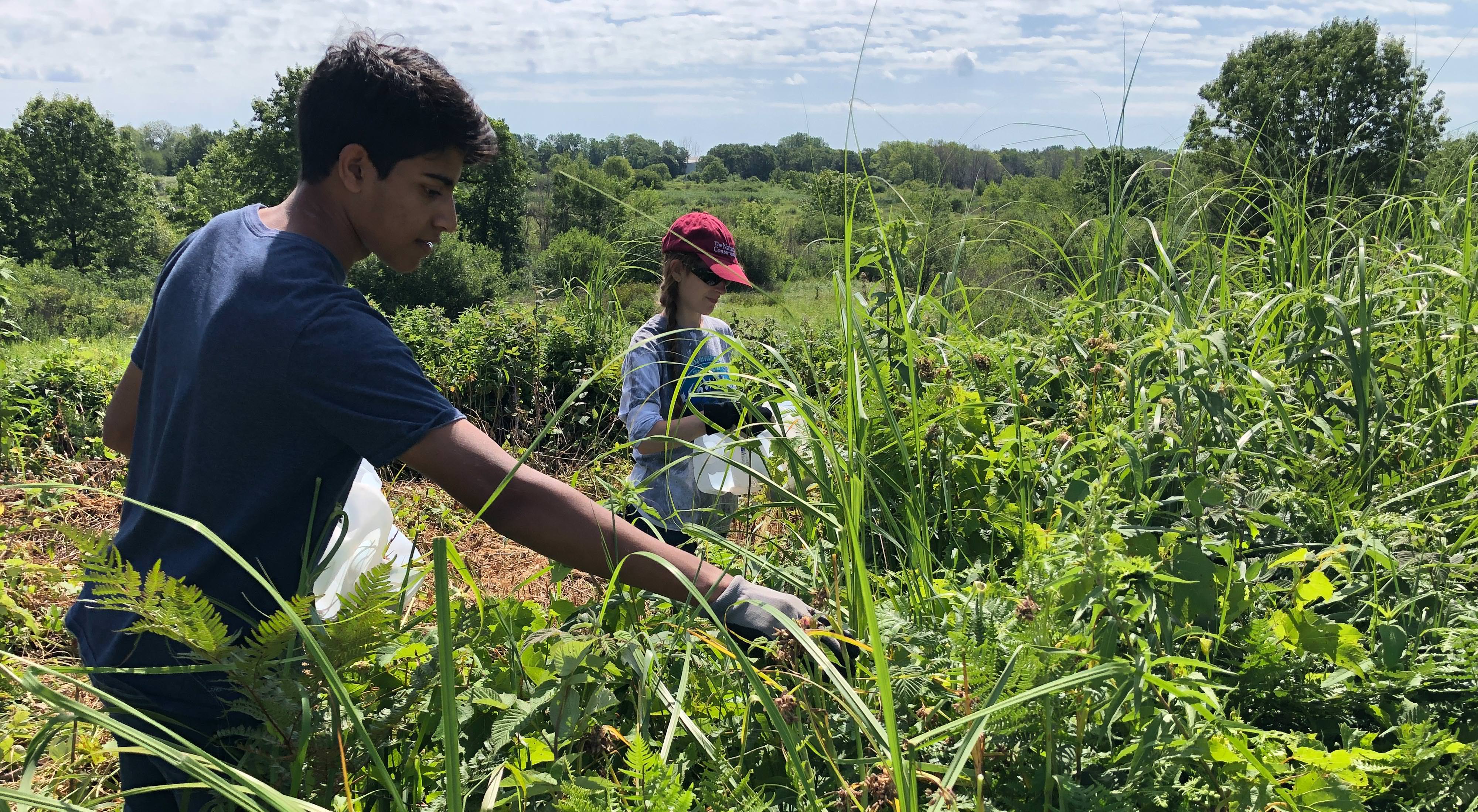 Os alunos do ensino médio Luke e Ernacoletam sementes de flores selvagens que serão usadas para plantio, como parte dos esforços de reflorestamento em Chiwaukee Prairie West.